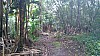 20170804_121759.jpg 20170804_121759.jpg
