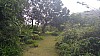 20170804_122224.jpg 20170804_122224.jpg