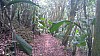 20170804_123508.jpg 20170804_123508.jpg