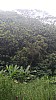 20170804_124621.jpg 20170804_124621.jpg