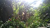 20170804_131433.jpg 20170804_131433.jpg