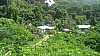 20170804_132917.jpg 20170804_132917.jpg