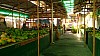 20170803_105010.jpg 20170803_105010.jpg