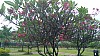 20170806_113418.jpg 20170806_113418.jpg