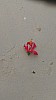 20170807_104544.jpg 20170807_104544.jpg
