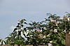 3352.jpg 3352.jpg