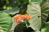 3378.jpg 3378.jpg