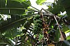 3390.jpg 3390.jpg