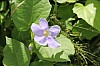 3405.jpg 3405.jpg