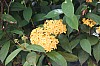3444.jpg 3444.jpg