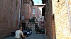 20170923_112948.jpg 20170923_112948.jpg