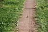 3503.jpg 3503.jpg