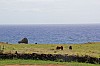 3529.jpg 3529.jpg