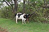 3746.jpg 3746.jpg