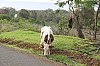 3761.jpg 3761.jpg