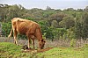 3762.jpg 3762.jpg