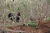 3768.jpg 3768.jpg