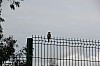 3774.jpg 3774.jpg