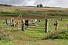 3908.jpg 3908.jpg