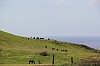 3942.jpg 3942.jpg