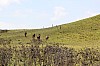3950.jpg 3950.jpg