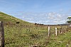 3952.jpg 3952.jpg