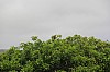 3989.jpg 3989.jpg