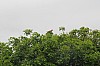 3990.jpg 3990.jpg