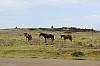 4216.jpg 4216.jpg