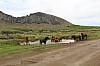 4297.jpg 4297.jpg