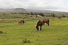 4467.jpg 4467.jpg