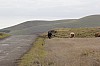 4579.jpg 4579.jpg