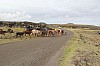 4583.jpg 4583.jpg