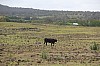 4594.jpg 4594.jpg
