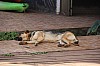 4769.jpg 4769.jpg