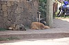 4920.jpg 4920.jpg