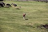 4945.jpg 4945.jpg