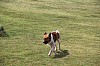 4947.jpg 4947.jpg