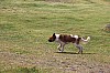4948.jpg 4948.jpg