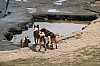 4957.jpg 4957.jpg