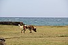 4966.jpg 4966.jpg