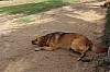 4977.jpg 4977.jpg