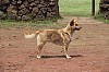 5086.jpg 5086.jpg