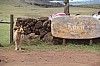 5087.jpg 5087.jpg