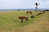 5096.jpg 5096.jpg