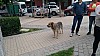 7_140843.jpg 7_140843.jpg