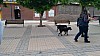 7_140921.jpg 7_140921.jpg