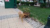 7_141204.jpg 7_141204.jpg