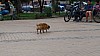 7_142027.jpg 7_142027.jpg