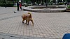 7_142250.jpg 7_142250.jpg